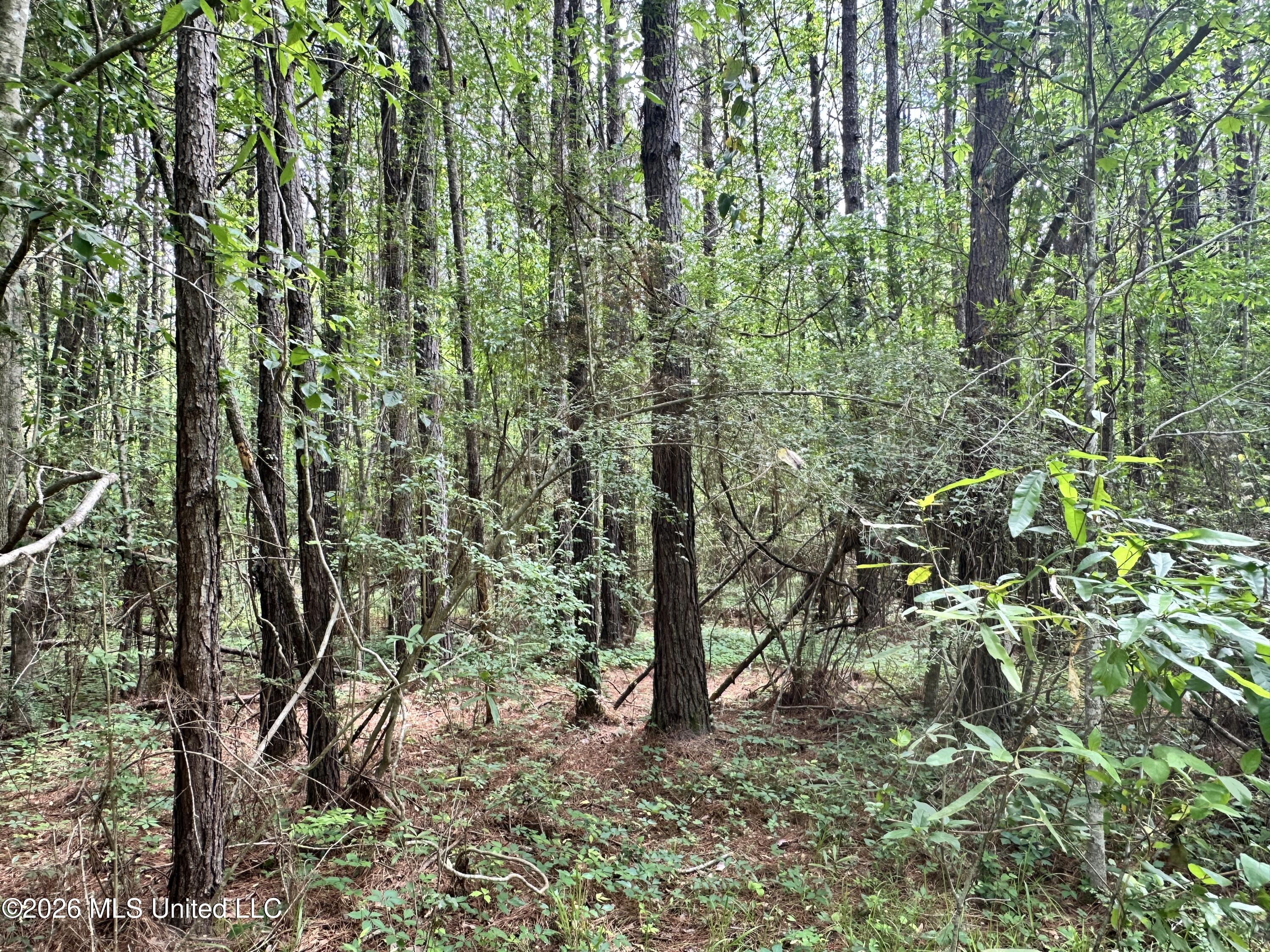 McComb Holmesville Road McComb, MS 39648 - Photo 13 of 25 IMG_1413