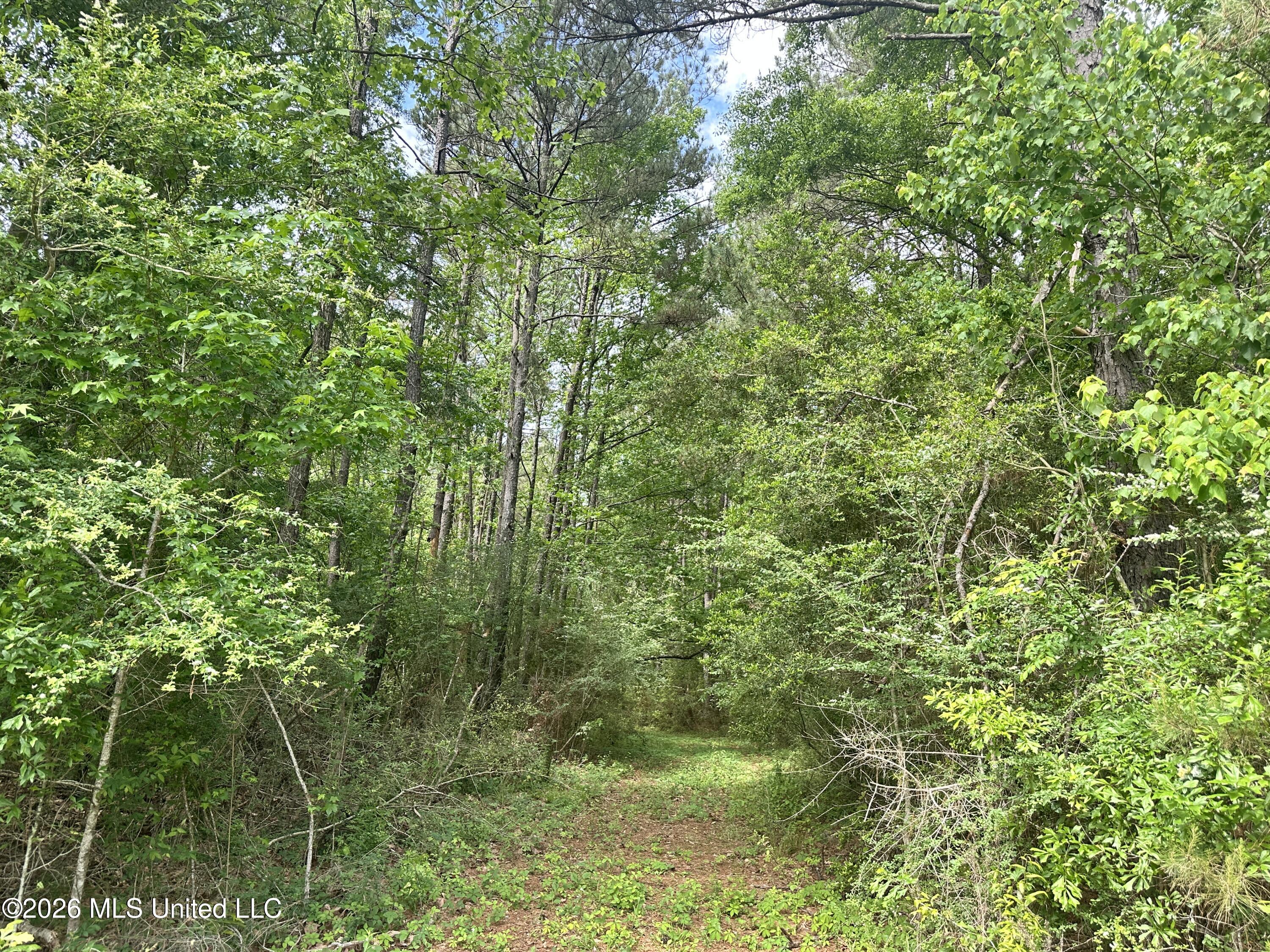 McComb Holmesville Road McComb, MS 39648 - Photo 2 of 25 IMG_1389
