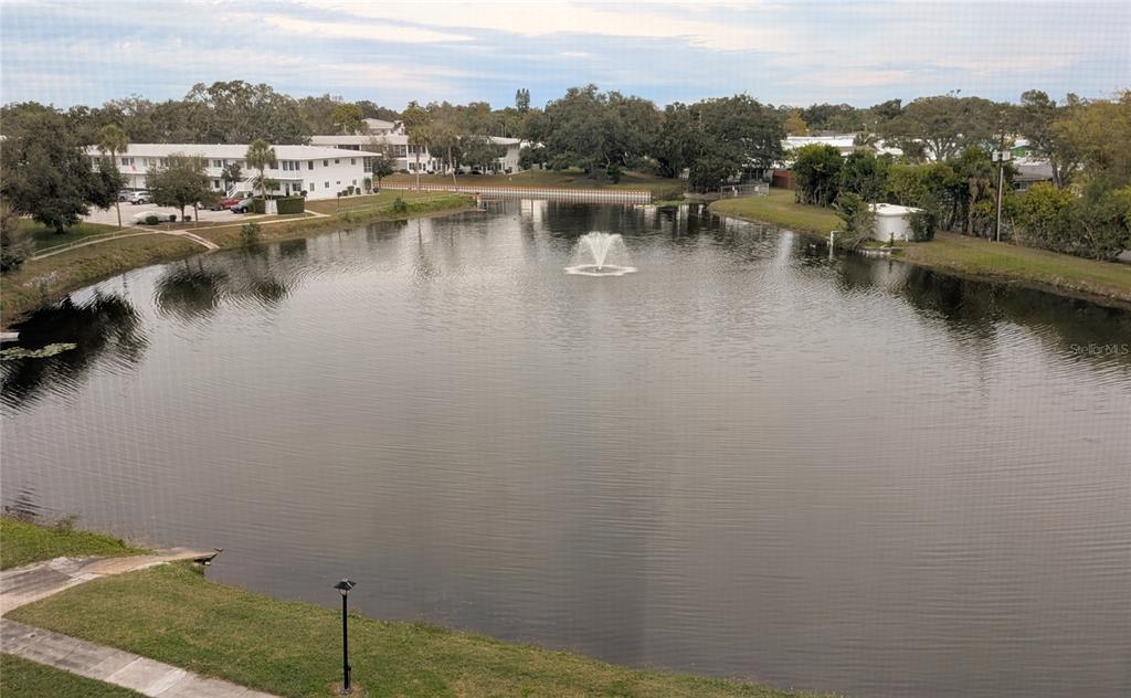 8055 112th Street North, Unit 403 Seminole, FL 33772 - Photo 2 of 37 a view of a lake with houses