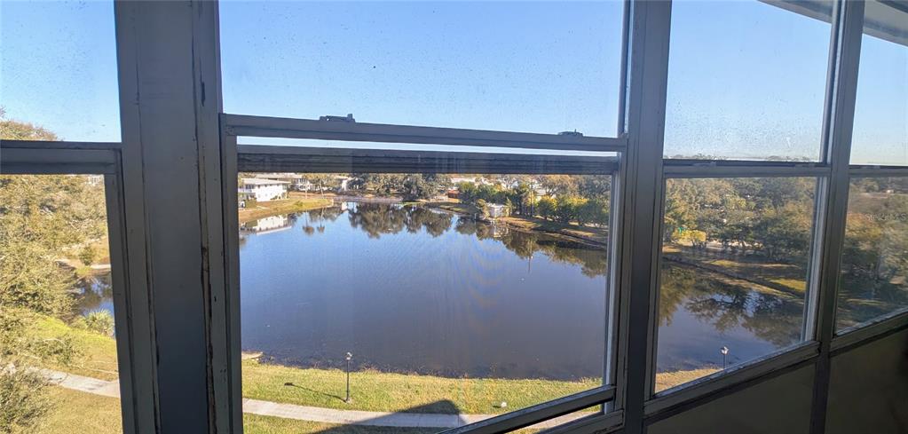 8055 112th Street North, Unit 403 Seminole, FL 33772 - Photo 23 of 37 a view of a small yard from a window
