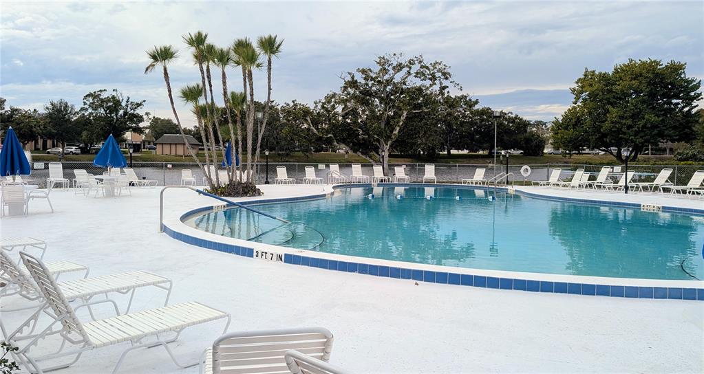 8055 112th Street North, Unit 403 Seminole, FL 33772 - Photo 30 of 37 a view of a swimming pool with a lounge chairs