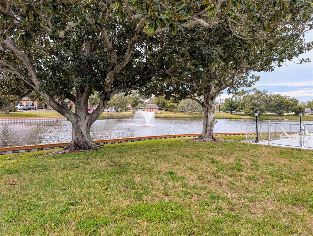 8055 112th Street North, Unit 403 Seminole, FL 33772 - Photo 32 of 37 a view of yard with large tree and wooden fence