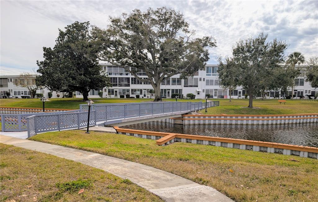 8055 112th Street North, Unit 403 Seminole, FL 33772 - Photo 35 of 37 a view of swimming pool with trees and yard in the background