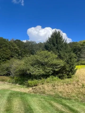 $299,000 | 4088 County Highway, Walton, NY 13856