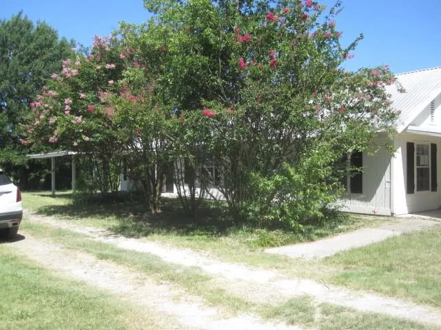 a view of a backyard with large trees