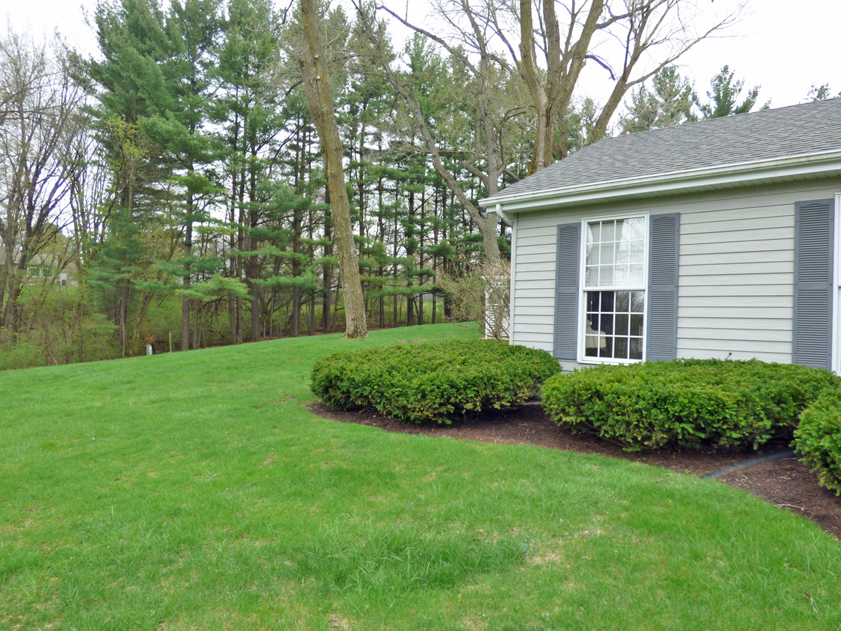 41W121 Whitney Road St. Charles, IL 60175 - Photo 26 of 35 a view of a house with a backyard