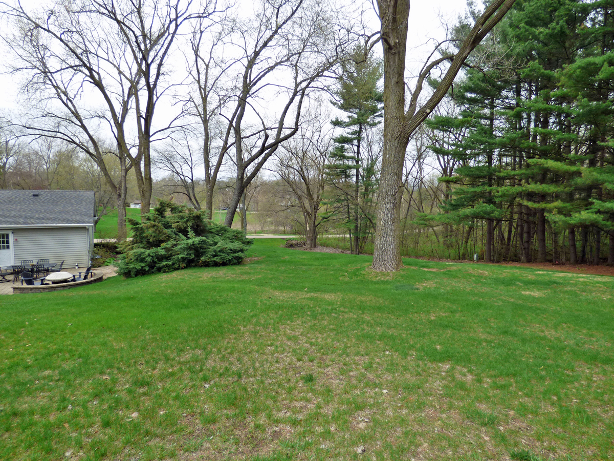 41W121 Whitney Road St. Charles, IL 60175 - Photo 32 of 35 a view of backyard with large trees