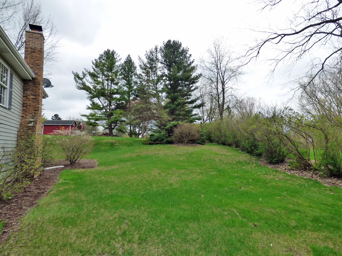 41W121 Whitney Road St. Charles, IL 60175 - Photo 35 of 35 a view of a garden