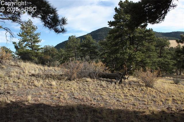 501 Stagecoach Road Guffey, CO 80820 - Photo 17 of 20 Gallery Image 17