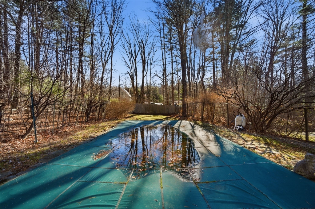 7 Fuller Road Sutton, MA 01590 - Photo 27 of 29 a view of a yard with plants and trees