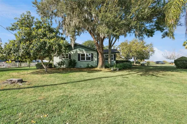 a view of a park with a large trees
