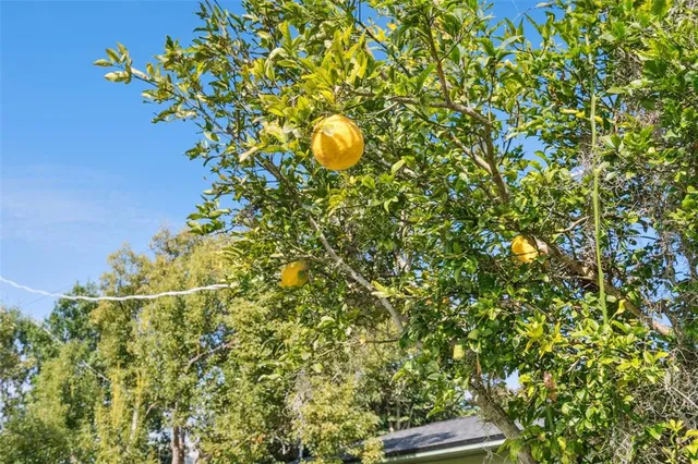 a view of swimming pool with a yard
