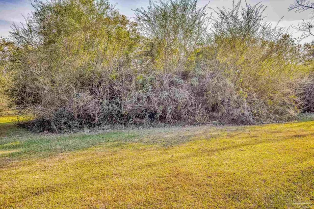 a view of a wooden wall