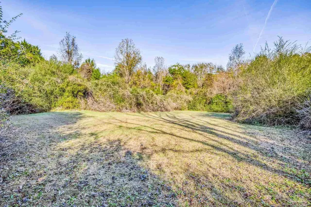 a kitchen with a stove a sink and a refrigerator