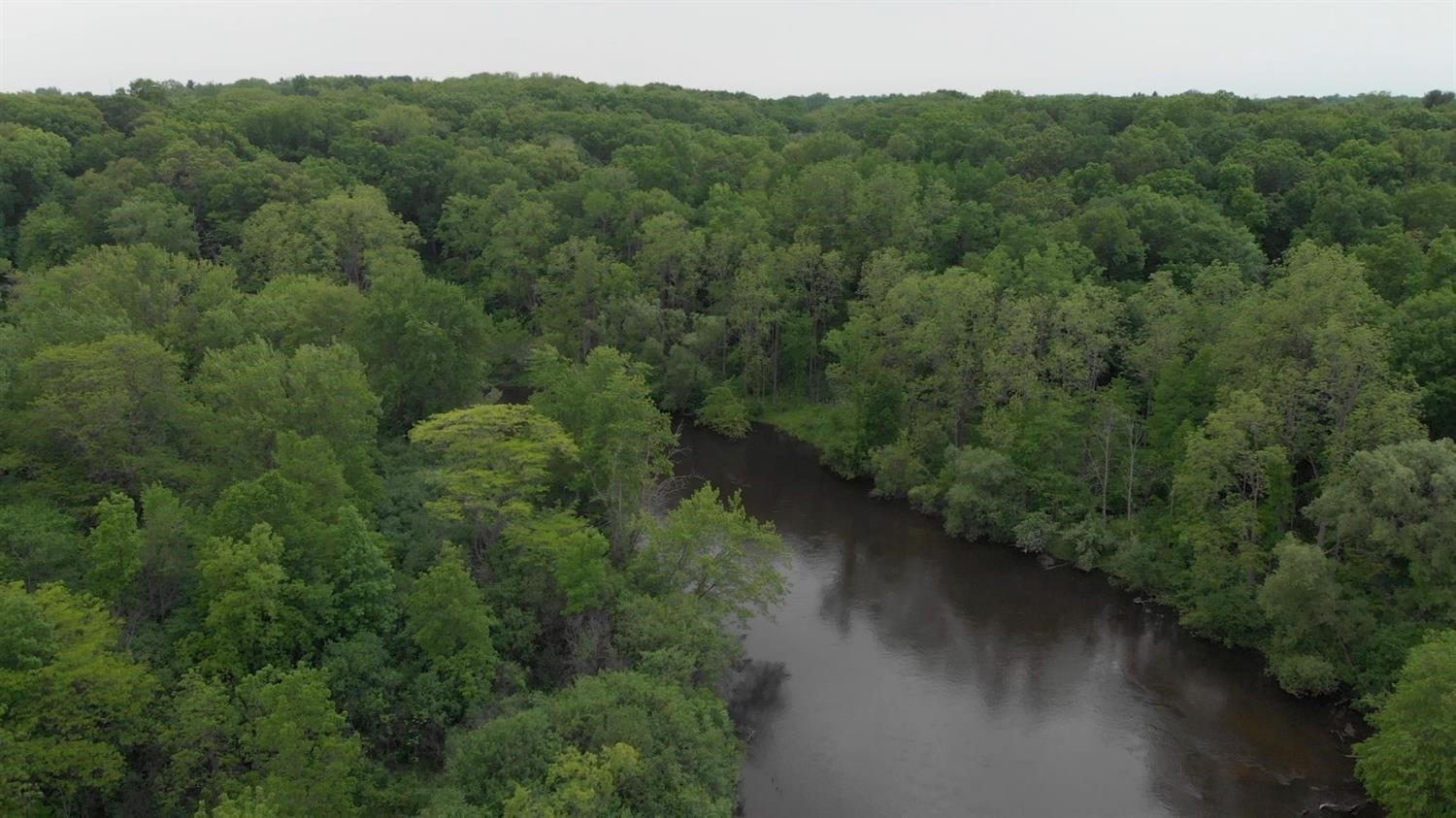 2485 Morrison Road Dexter, MI 48130 - Photo 17 of 19 Photo 18