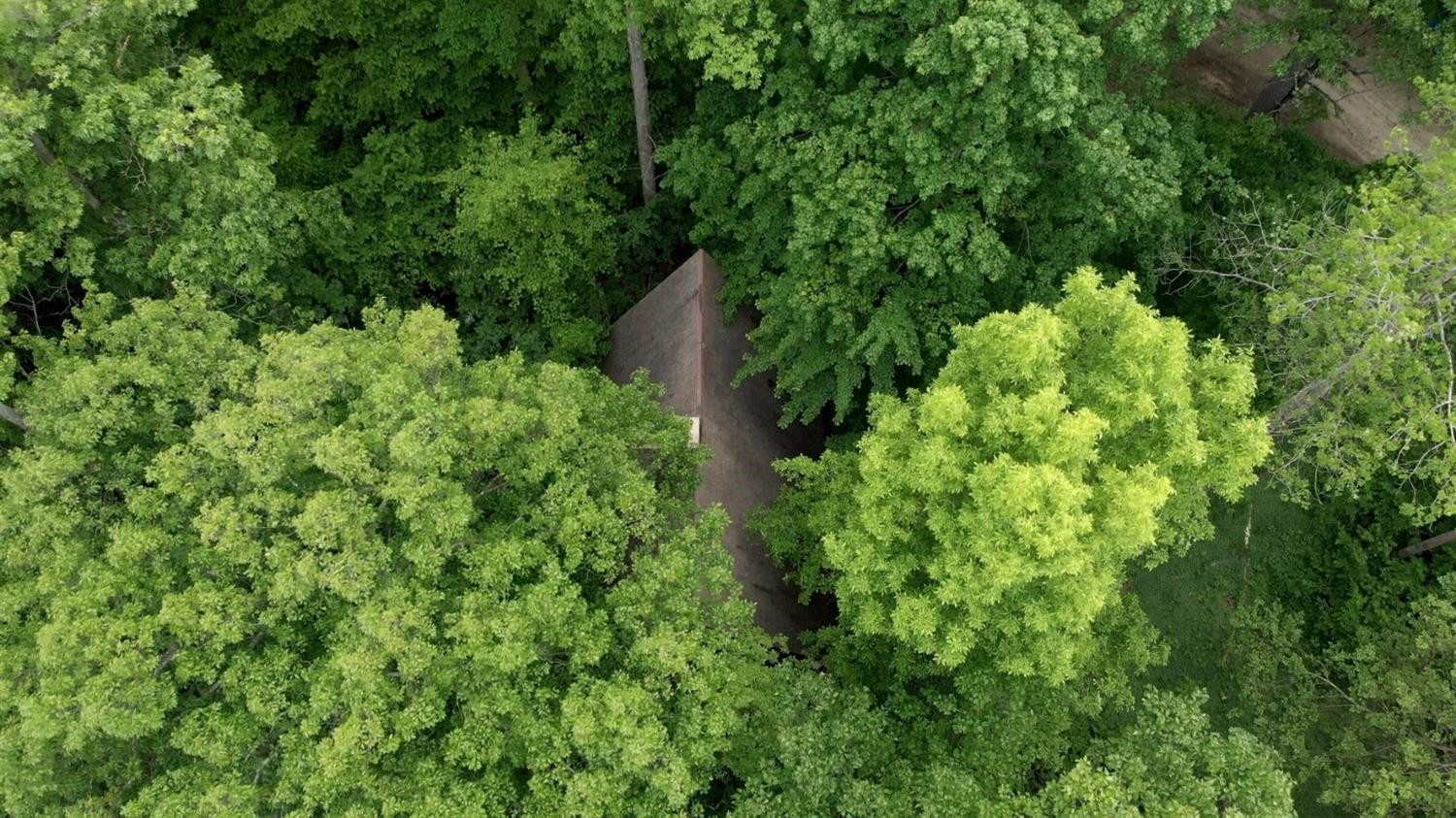 2485 Morrison Road Dexter, MI 48130 - Photo 18 of 19 Photo 19