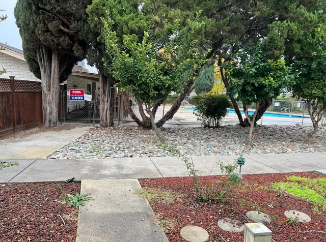 a tree in the middle of a yard