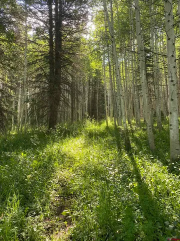a view of outdoor space and a yard
