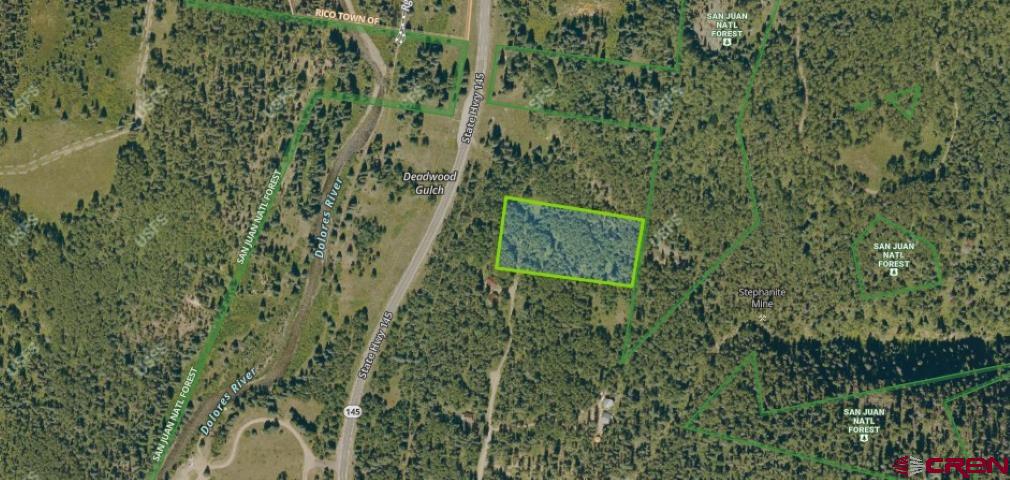 15050 145th Highway Rico, CO 81332 - Photo 8 of 8 a view of a forest