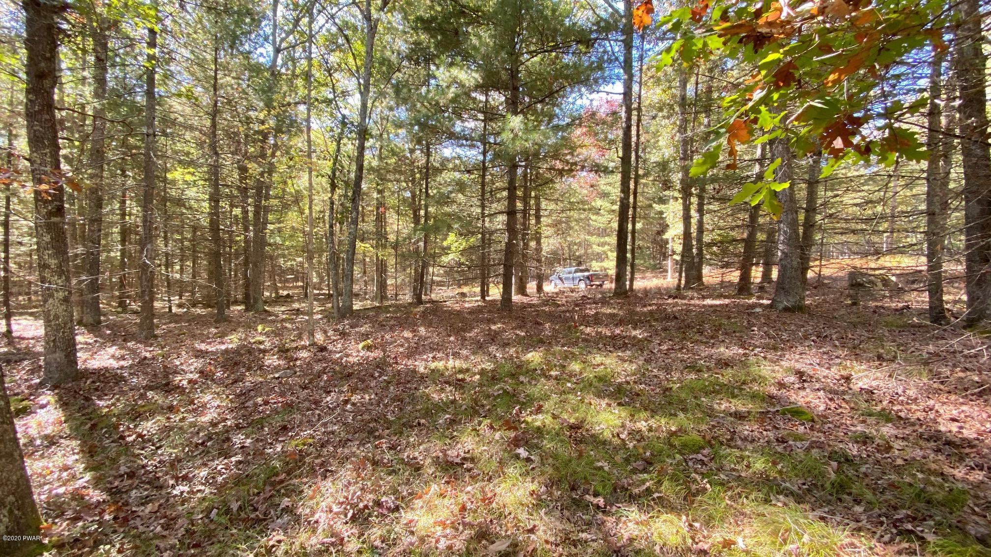 10 Deer Hollow Road Greentown, PA 18426 - Photo 1 of 8