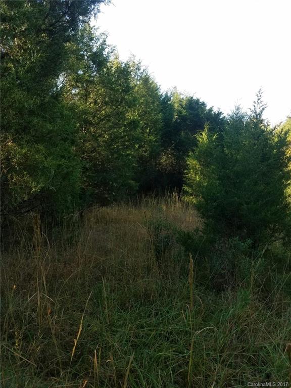 4-acres 4-acres Roger Road Monroe, NC 28110 - Photo 3 of 6