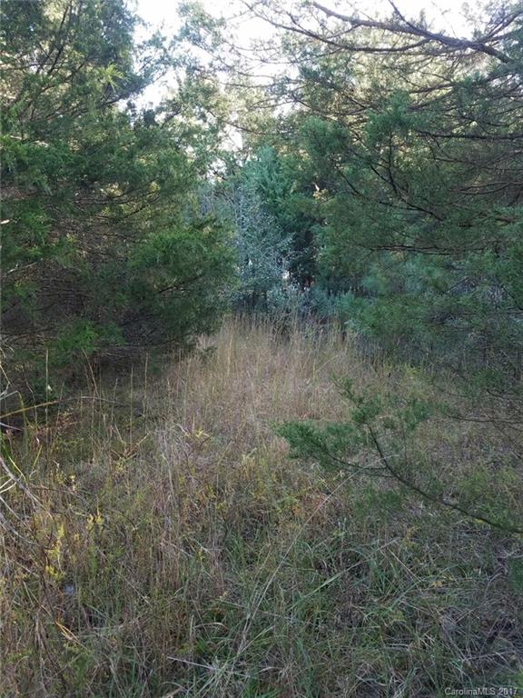 4-acres 4-acres Roger Road Monroe, NC 28110 - Photo 4 of 6