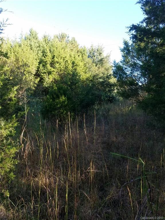 4-acres 4-acres Roger Road Monroe, NC 28110 - Photo 5 of 6
