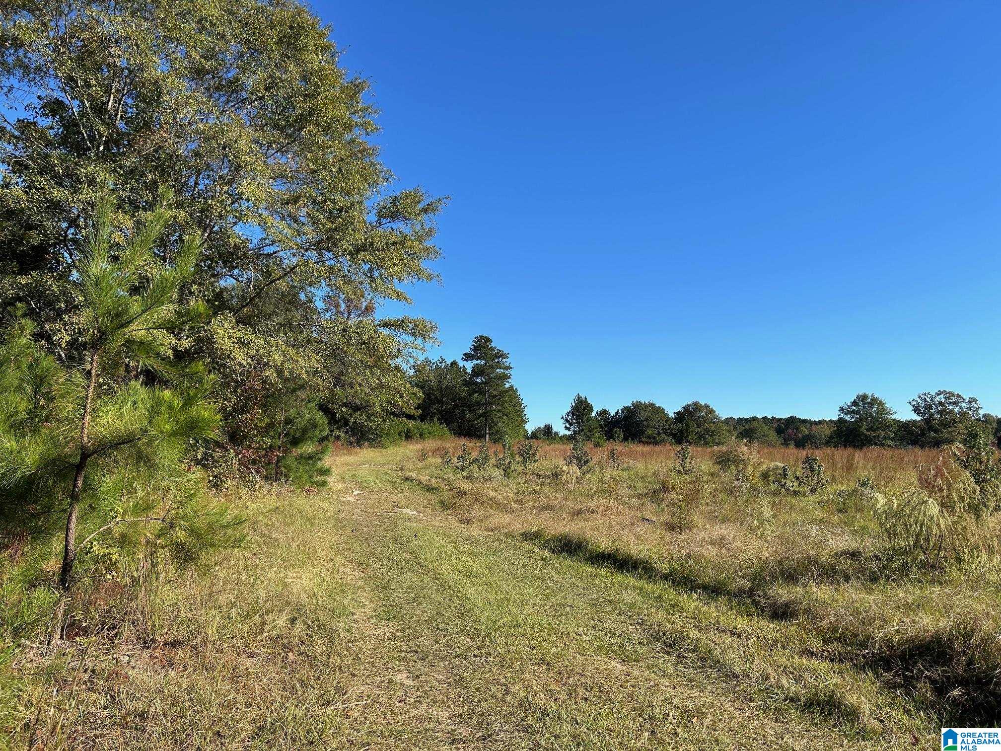 0 Rockyview Road, Unit X West Blocton, AL 35184 - Photo 3 of 11