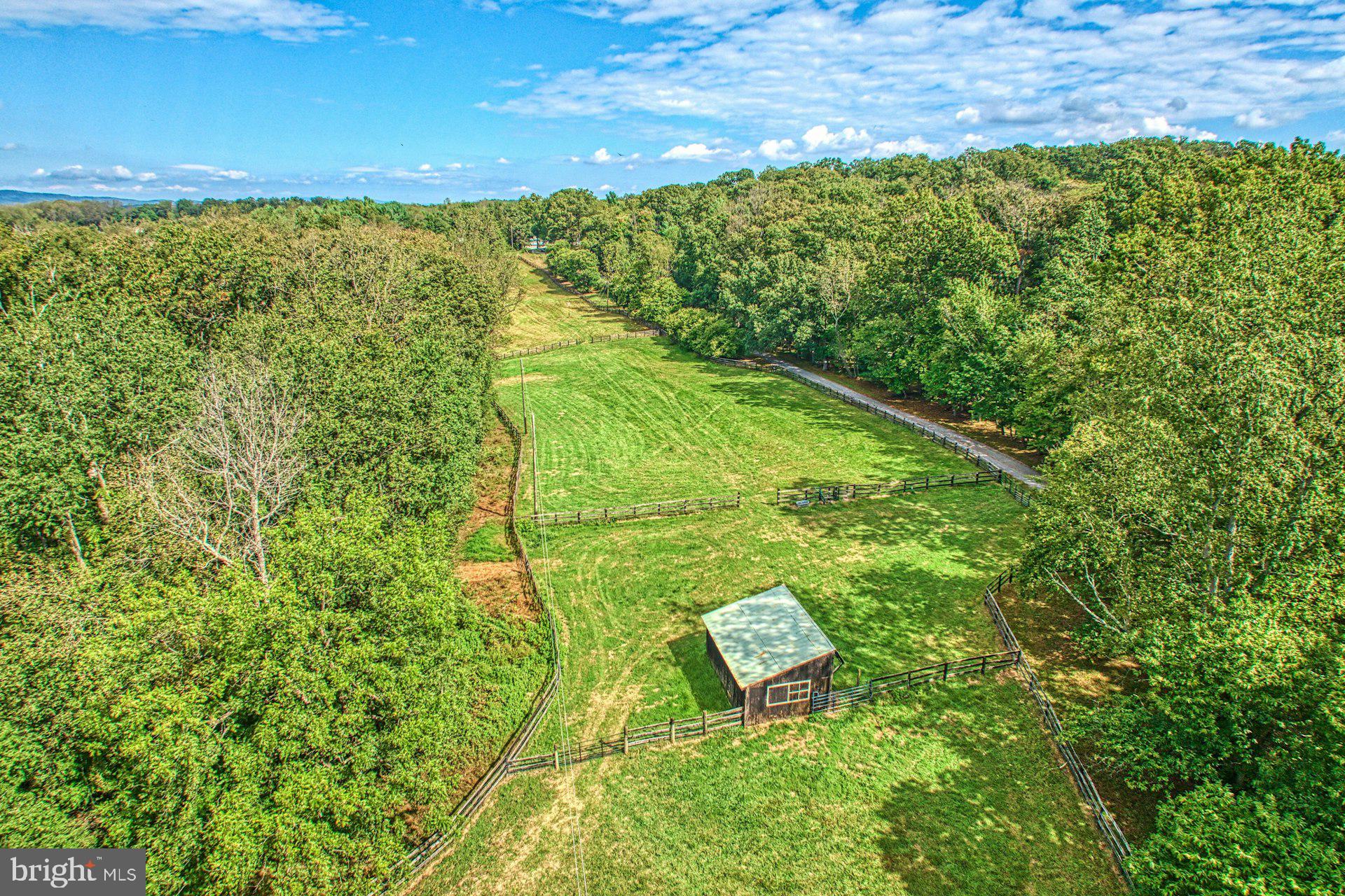 43470 Evans Pond Road Leesburg, VA 20176 - Photo 5 of 114 Run in shed