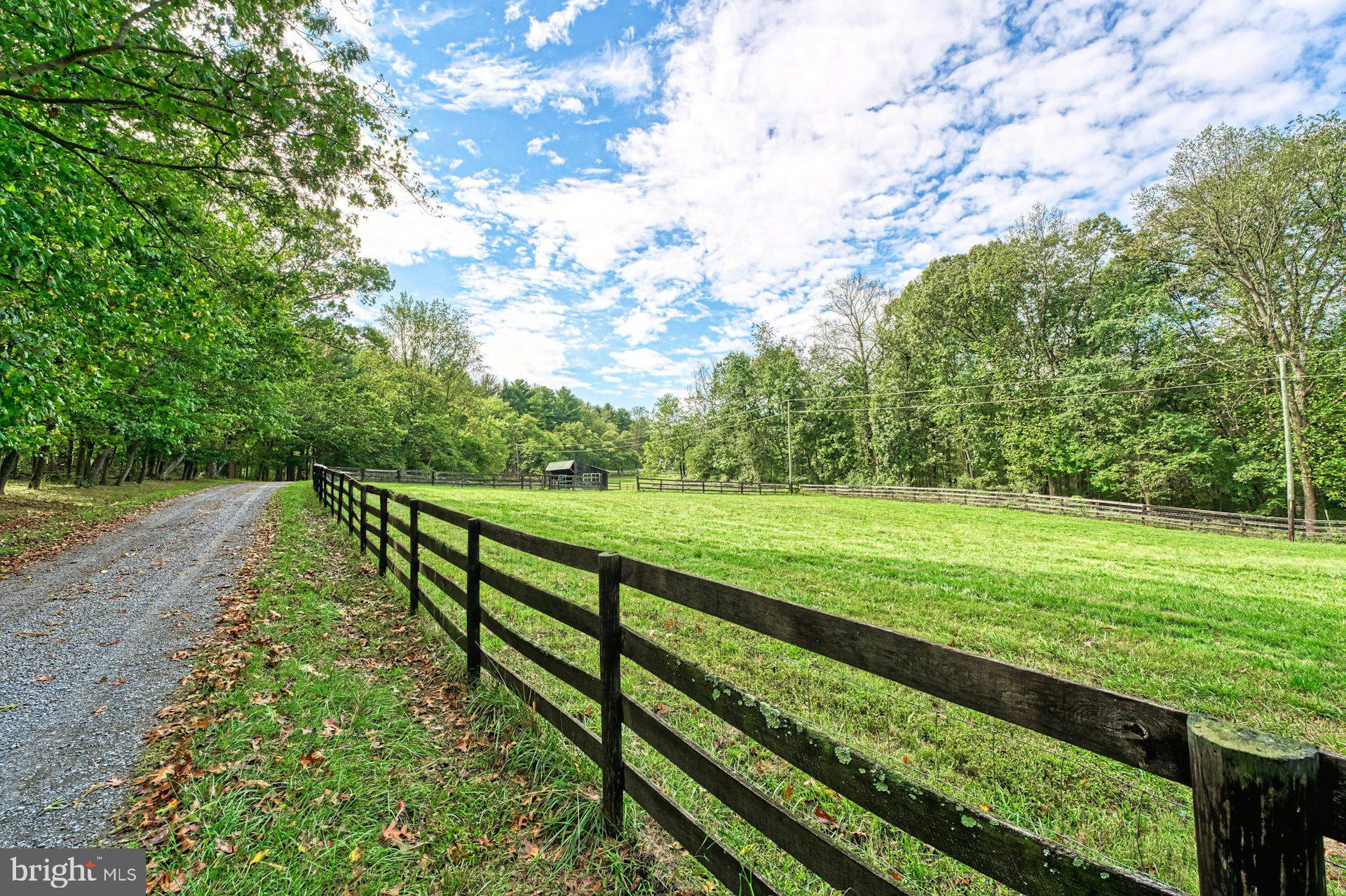 43470 Evans Pond Road Leesburg, VA 20176 - Photo 76 of 114 a view of a yard with a large trees