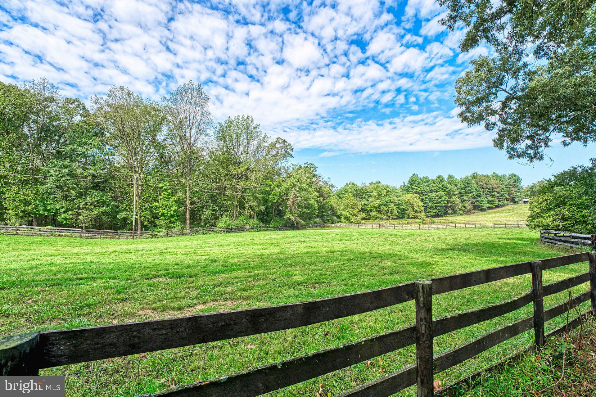 43470 Evans Pond Road Leesburg, VA 20176 - Photo 77 of 114 a view of a green field with wooden fence