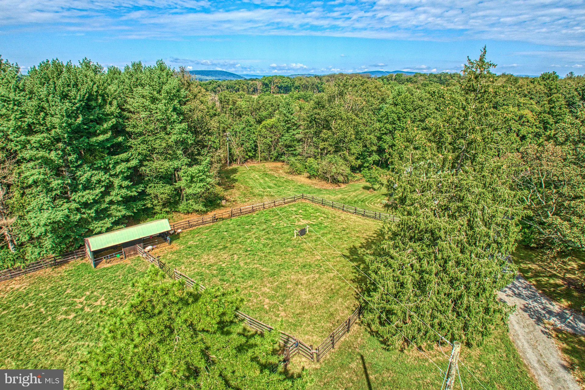 43470 Evans Pond Road Leesburg, VA 20176 - Photo 82 of 114 Run in shed in front field