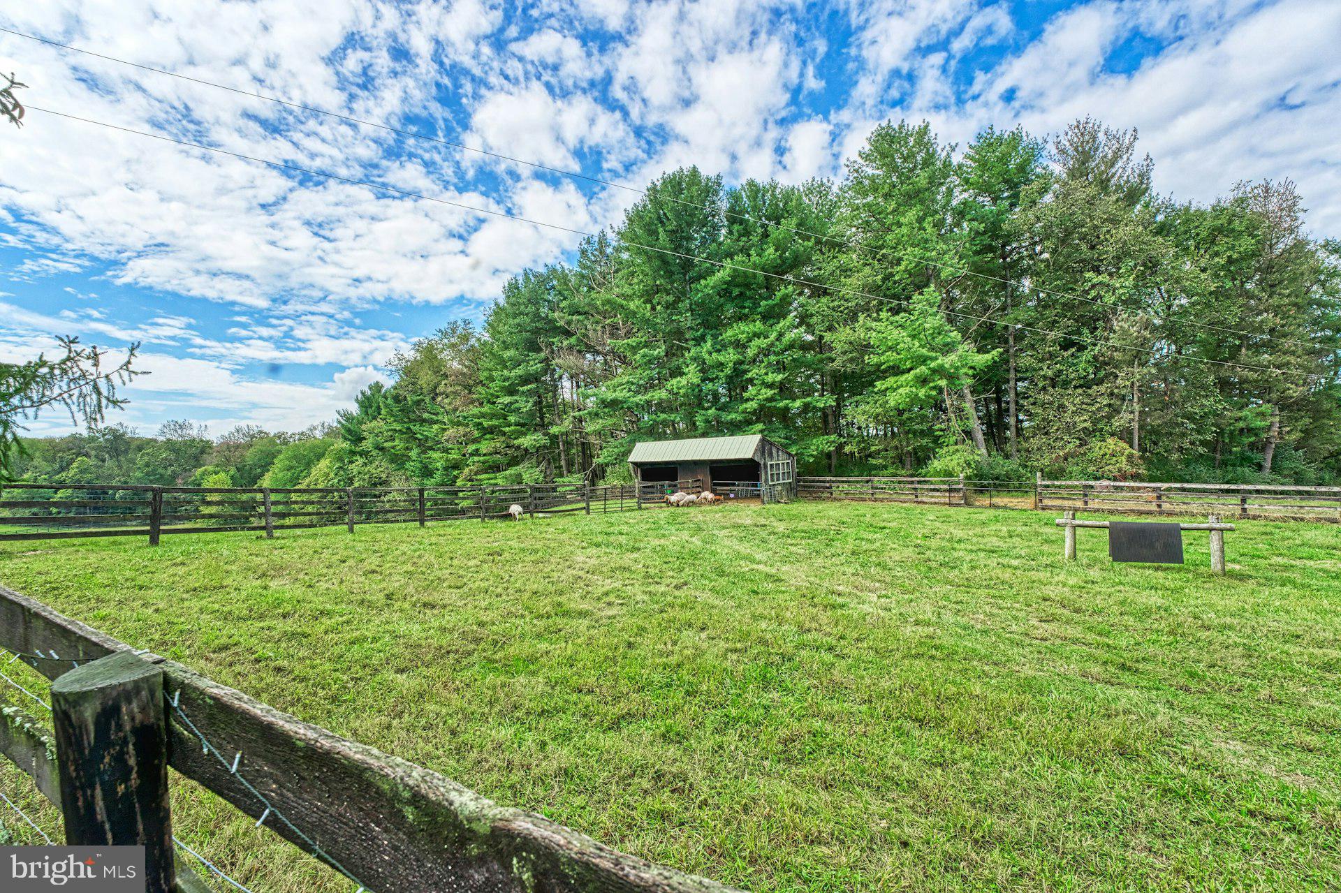 43470 Evans Pond Road Leesburg, VA 20176 - Photo 83 of 114 a view of a backyard with large trees