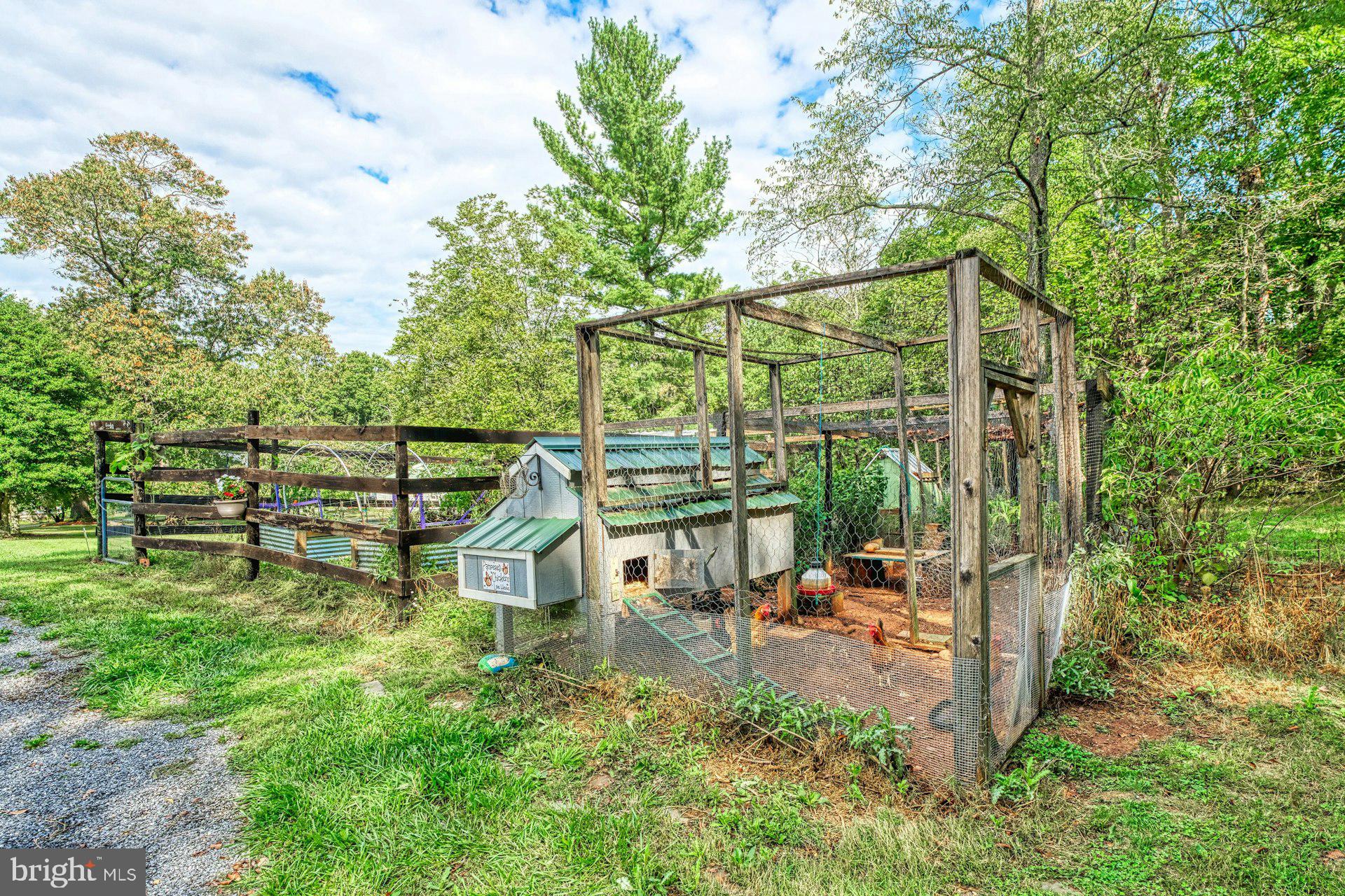 43470 Evans Pond Road Leesburg, VA 20176 - Photo 86 of 114 Home for your chickens