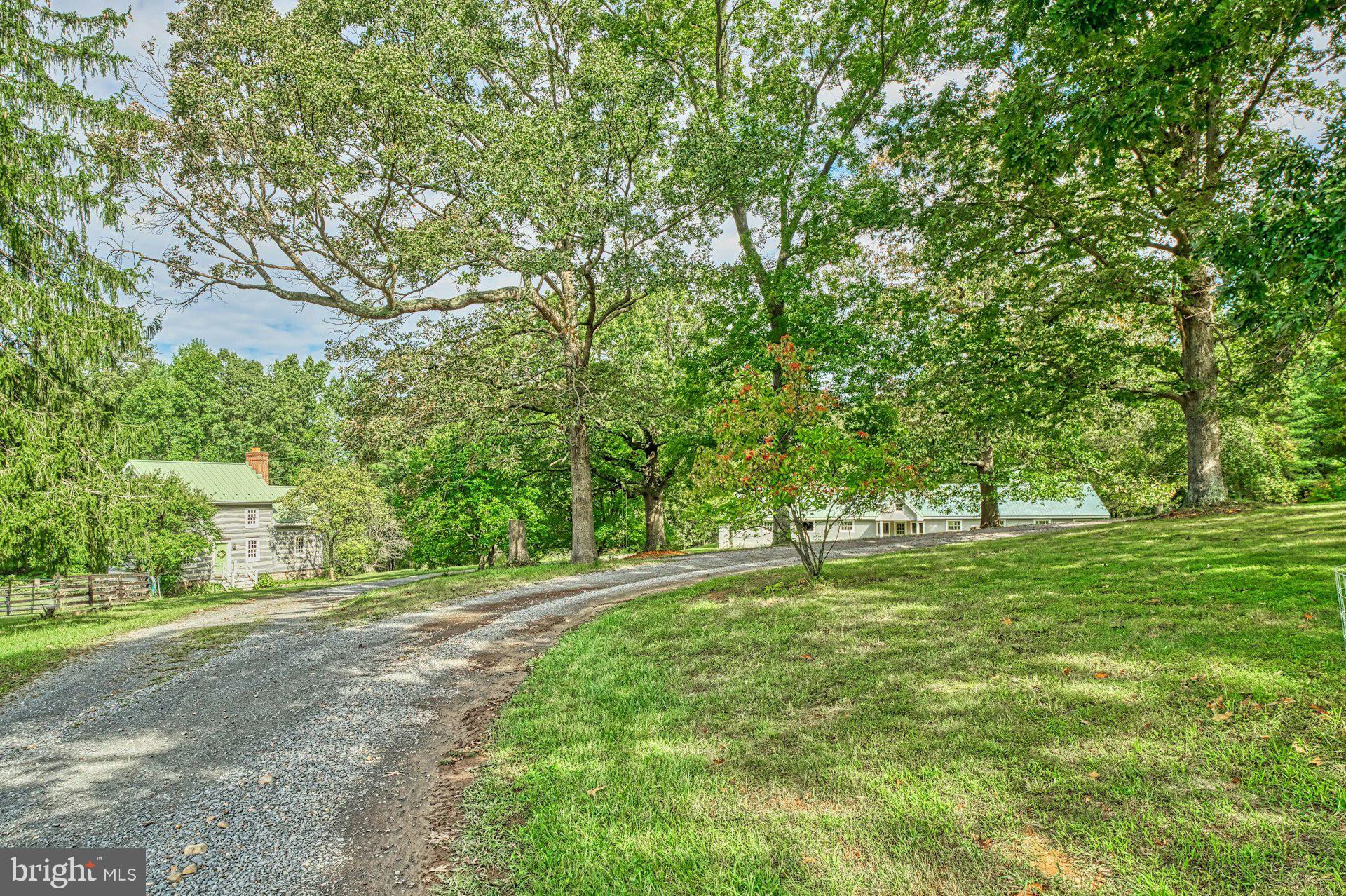 43470 Evans Pond Road Leesburg, VA 20176 - Photo 93 of 114 a big yard with lots of green space and trees