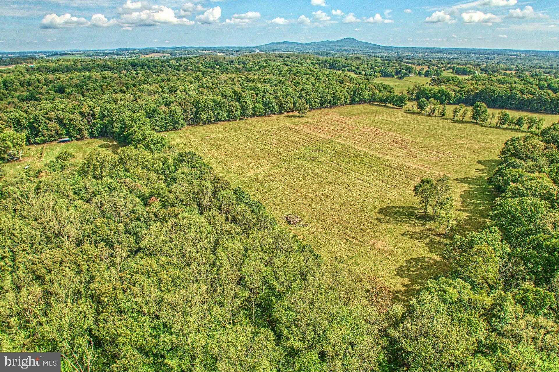 43470 Evans Pond Road Leesburg, VA 20176 - Photo 98 of 114