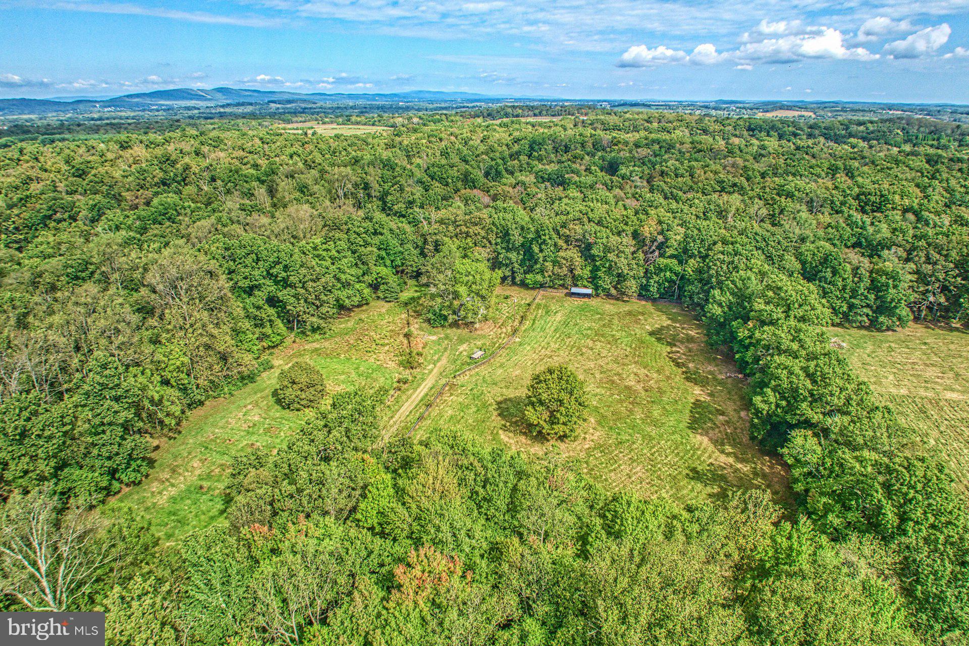 43470 Evans Pond Road Leesburg, VA 20176 - Photo 99 of 114 a view of a yard