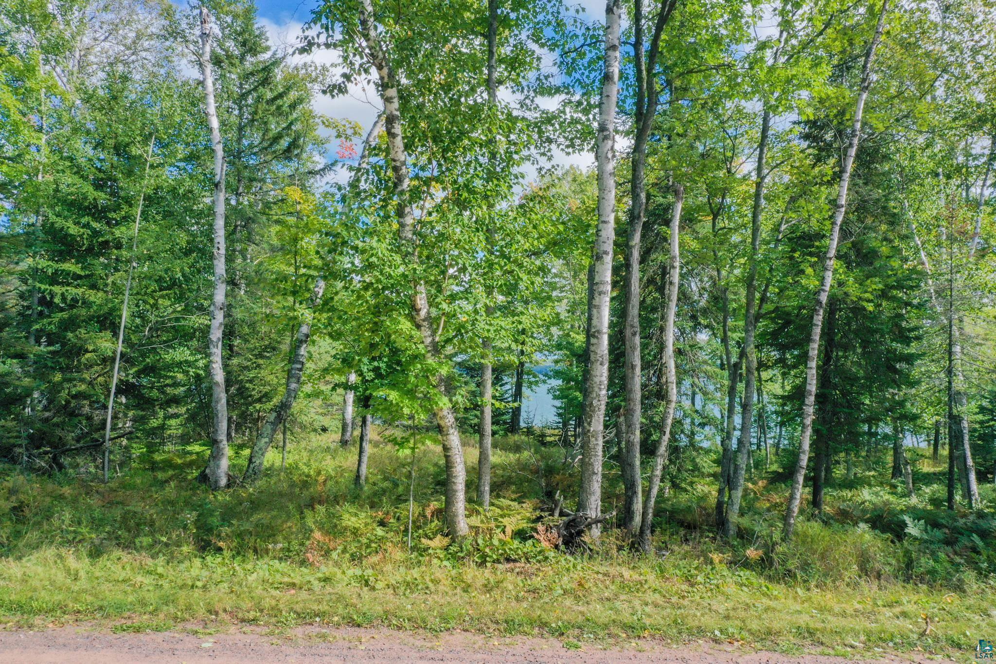Xxx East Romans Point Road Herbster, WI 54844 - Photo 25 of 32 Gallery Image 25