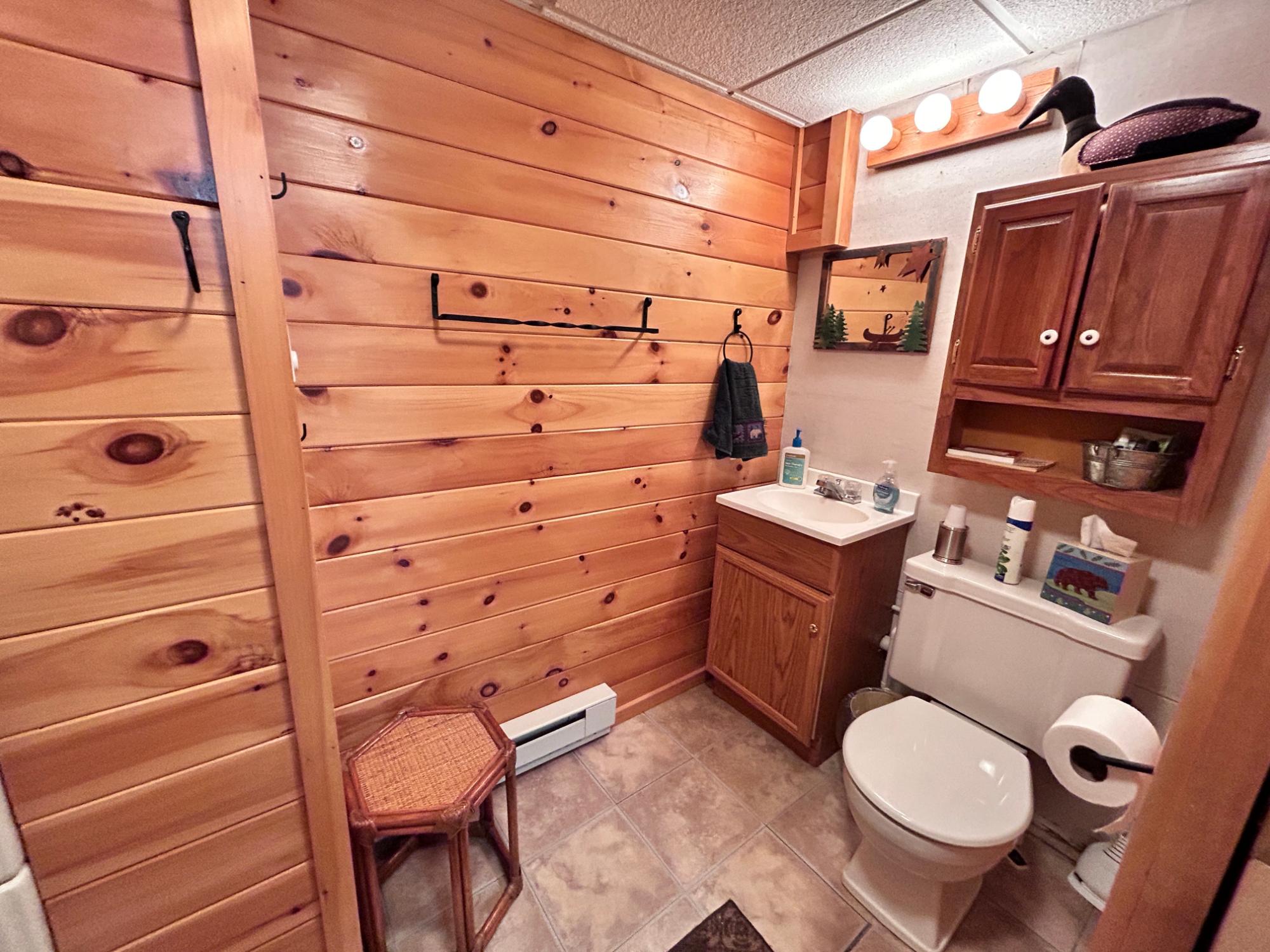 6950 Island View Road Manitowish Waters, WI 54545 - Photo 26 of 51 Gallery Image 26