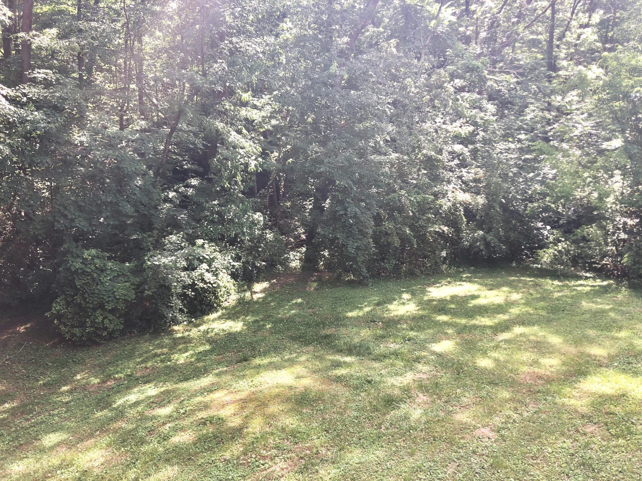 6207 Ricky Allen Road Corryton, TN 37721 - Photo 10 of 12 Gallery Image 10
