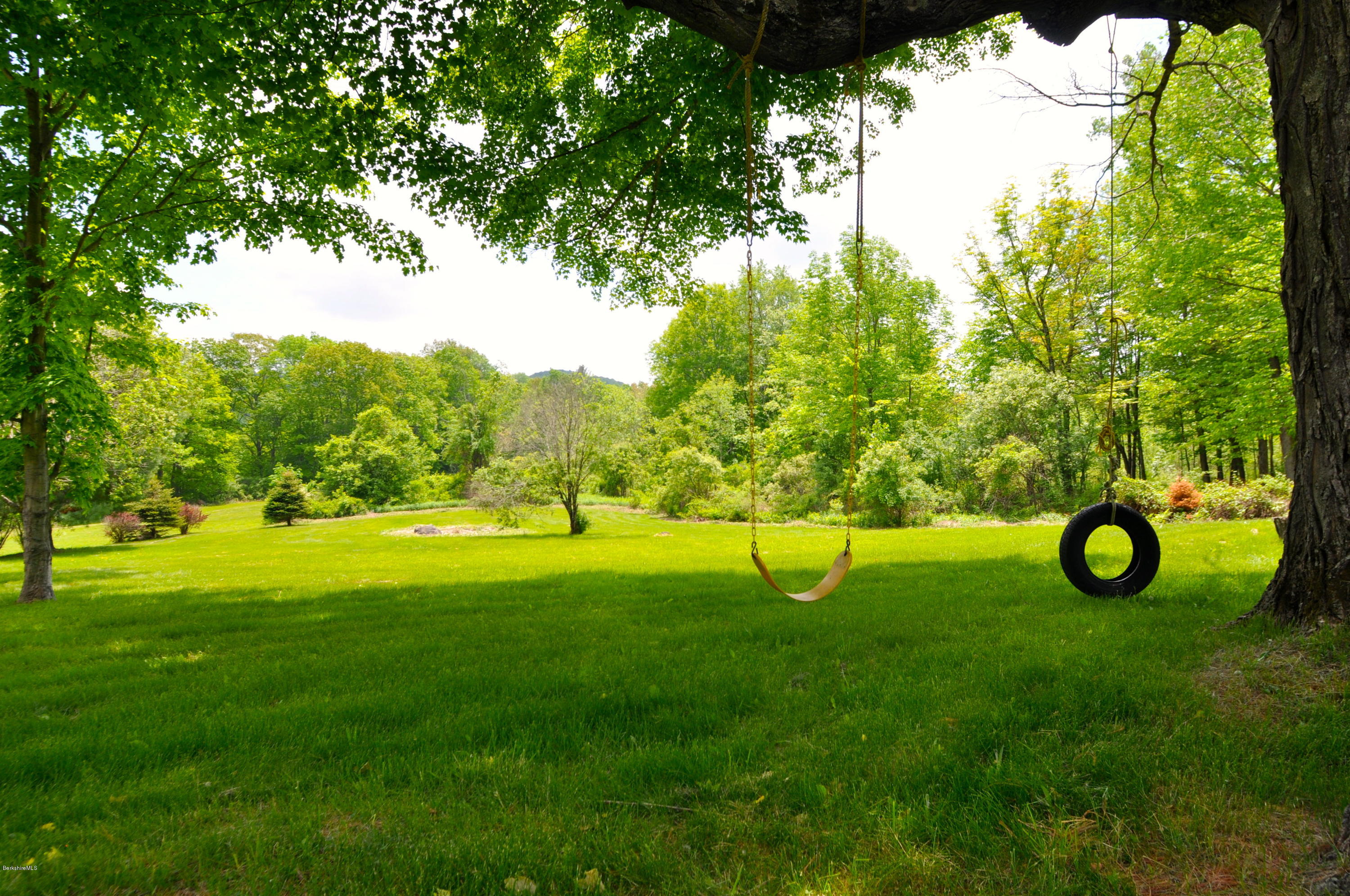 210 Main Road Monterey, MA 01245 - Photo 22 of 33 a view of a trees with a backyard