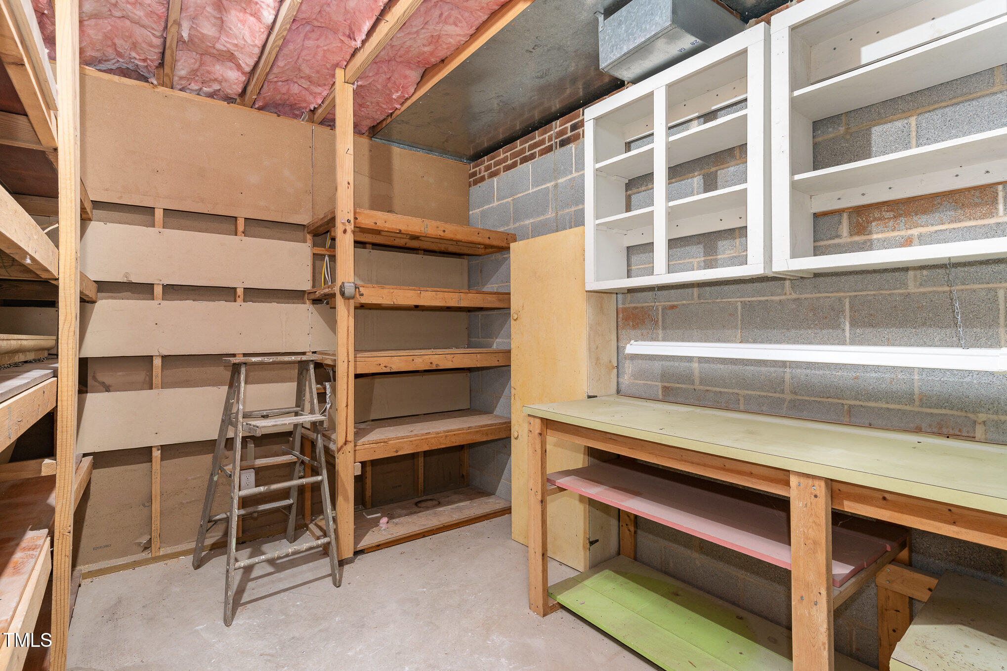10009 Bushveld Lane Raleigh, NC 27613 - Photo 35 of 53 Basement Storage