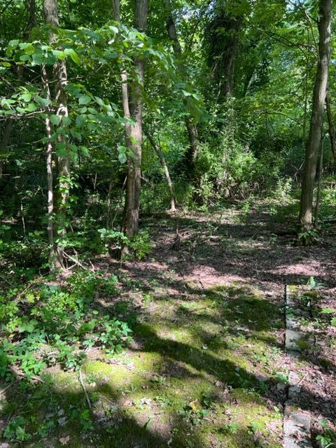 2478 Marion Road Northwest Utica, OH 43080 - Photo 24 of 24 IMG_2373 (1)