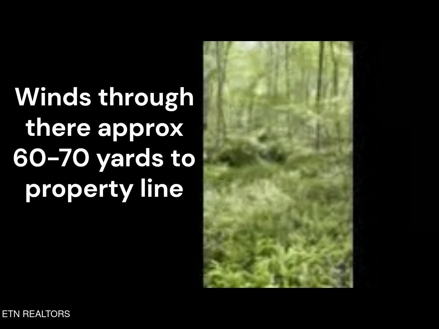 Peter Ford Road Sunbright, TN 37872 - Photo 17 of 26 creek7