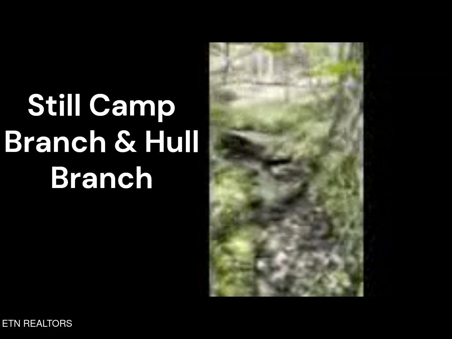 Peter Ford Road Sunbright, TN 37872 - Photo 18 of 26 creek6