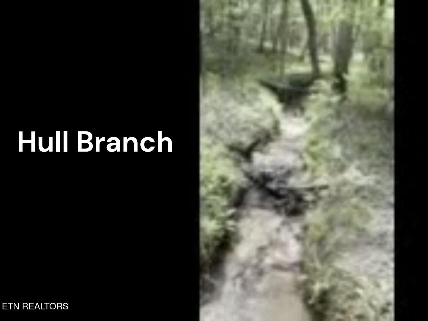 Peter Ford Road Sunbright, TN 37872 - Photo 20 of 26 creek3