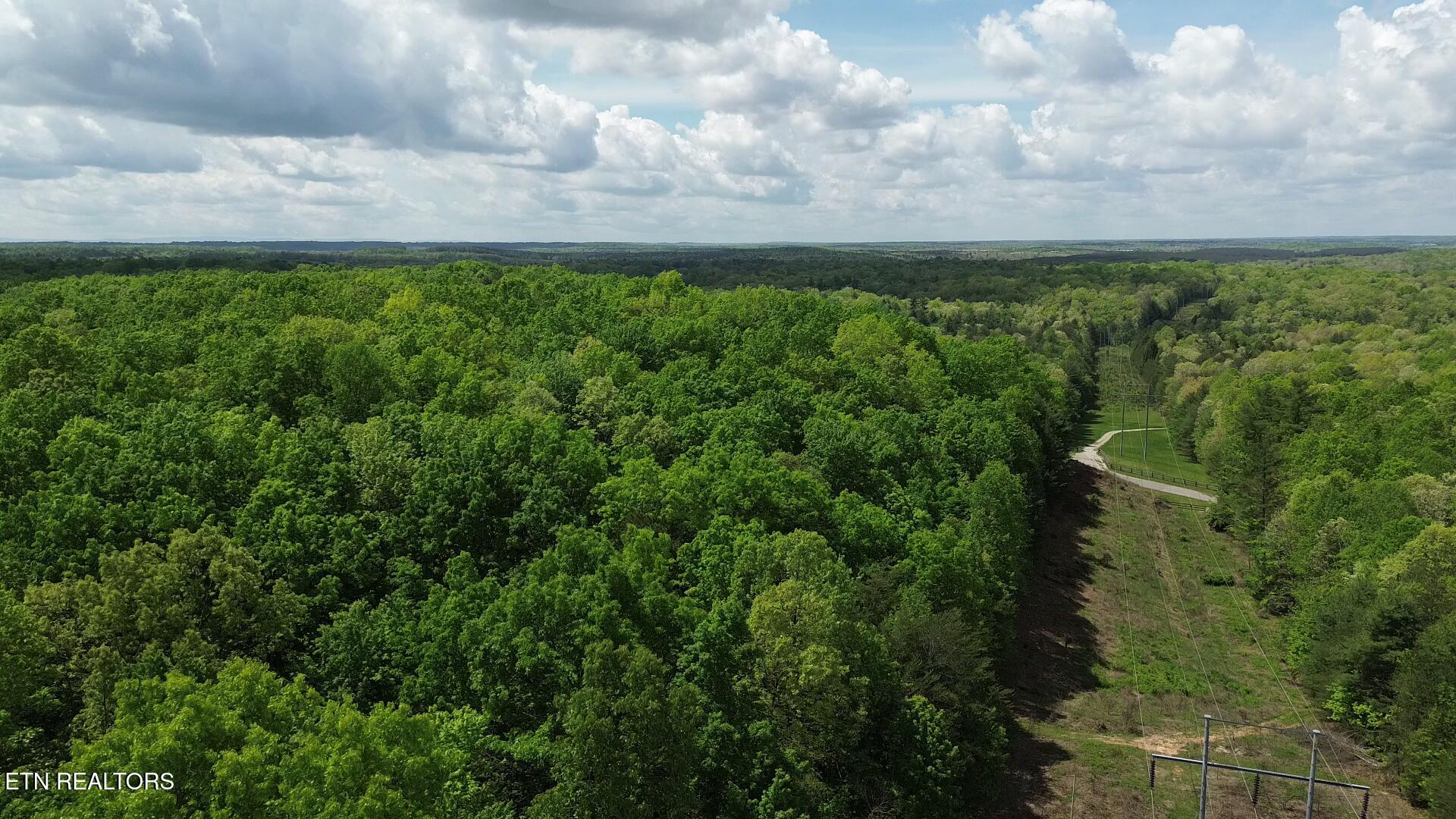 Peter Ford Road Sunbright, TN 37872 - Photo 25 of 26 videoframe_0