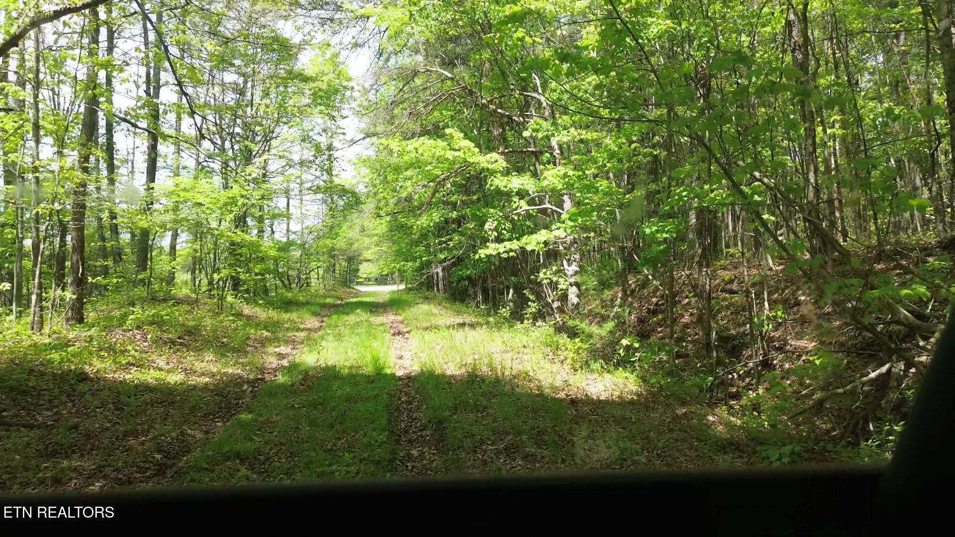 Peter Ford Road Sunbright, TN 37872 - Photo 5 of 26 videoframe_213418