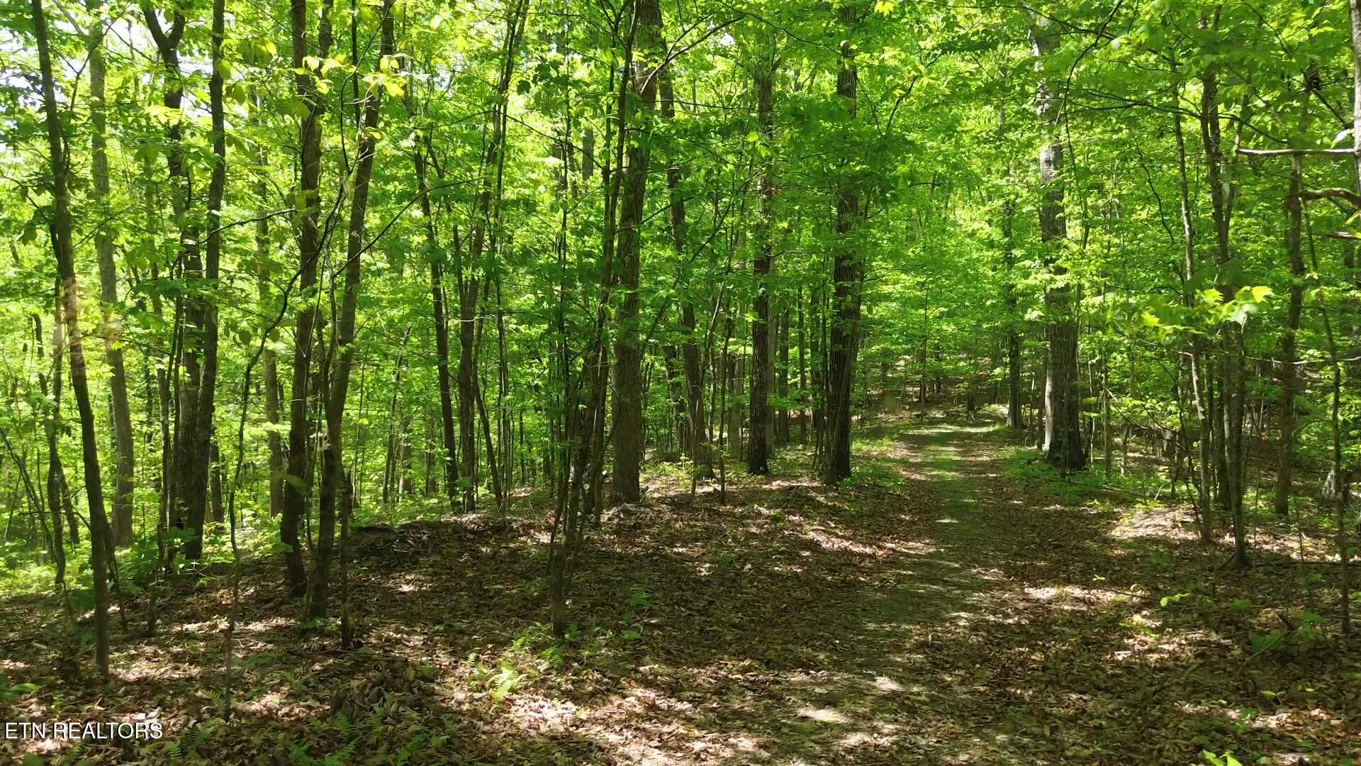 Peter Ford Road Sunbright, TN 37872 - Photo 6 of 26 videoframe_81000