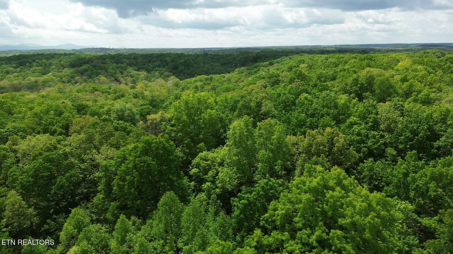 Peter Ford Road Sunbright, TN 37872 - Photo 8 of 26 videoframe_10964